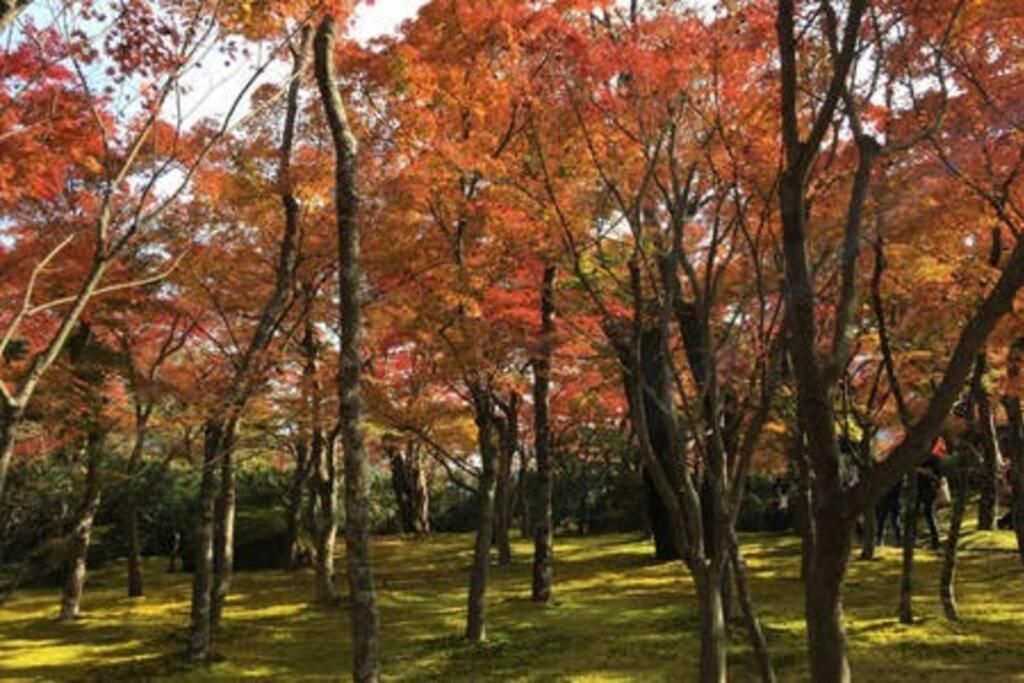 Ek House Hakone Shushinso 箱根修身荘 Villa Bagian luar foto